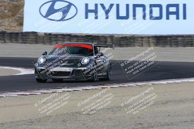 media/Aug-23-2024-Speed Ventures (Fri) [[92f1efc5e7]]/Red/Session 1 (Turn 3)/